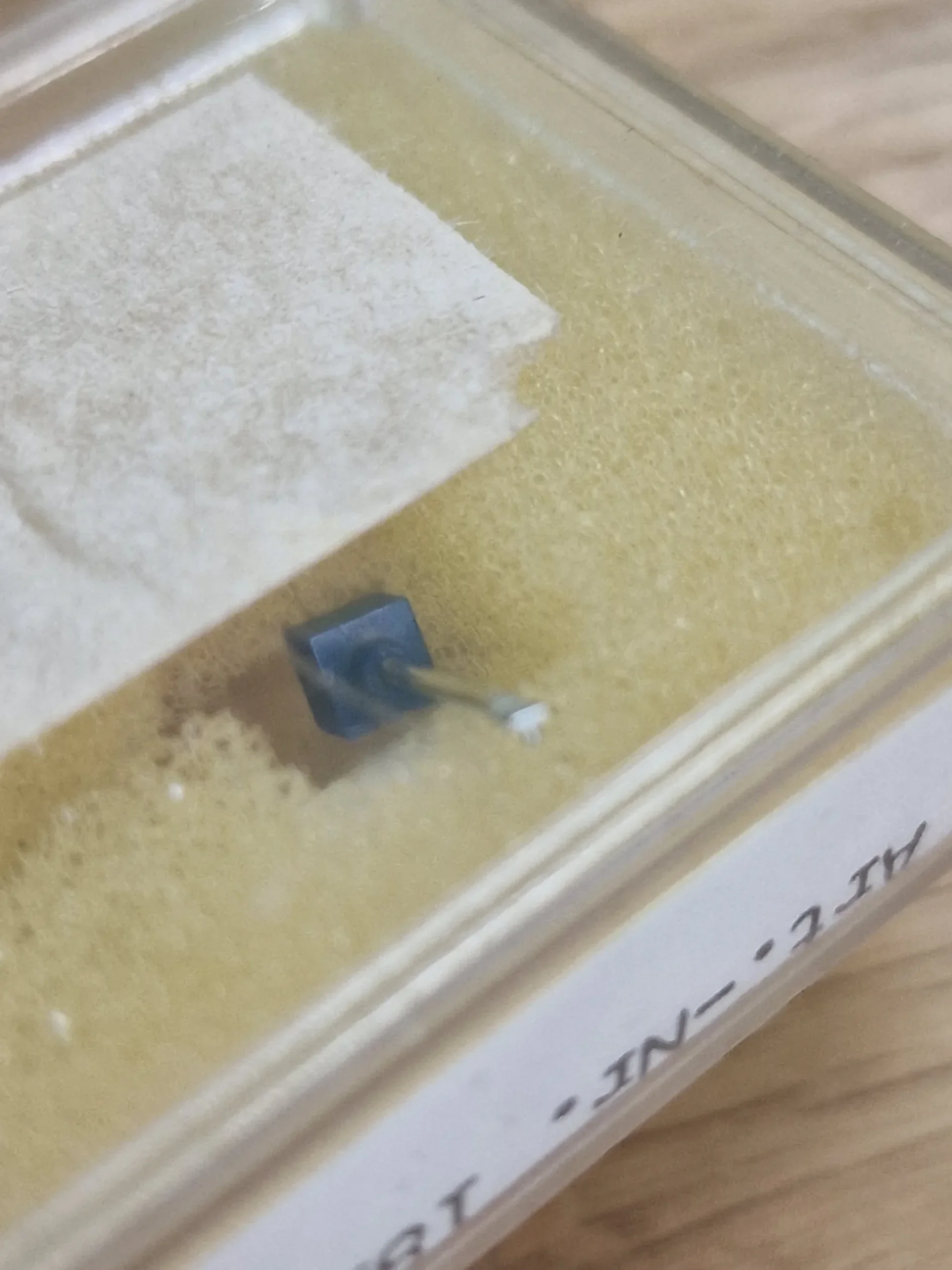 Detailaufnahme der Pfeifer Saphir Ersatznadel 1851/1 in Schaumstoffverpackung