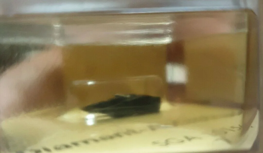 Diamant Abtastnadel Pfeifer SGA 10156_B2 Diamant Abtastnadel Pfeifer SGA 10156 B2 jpg