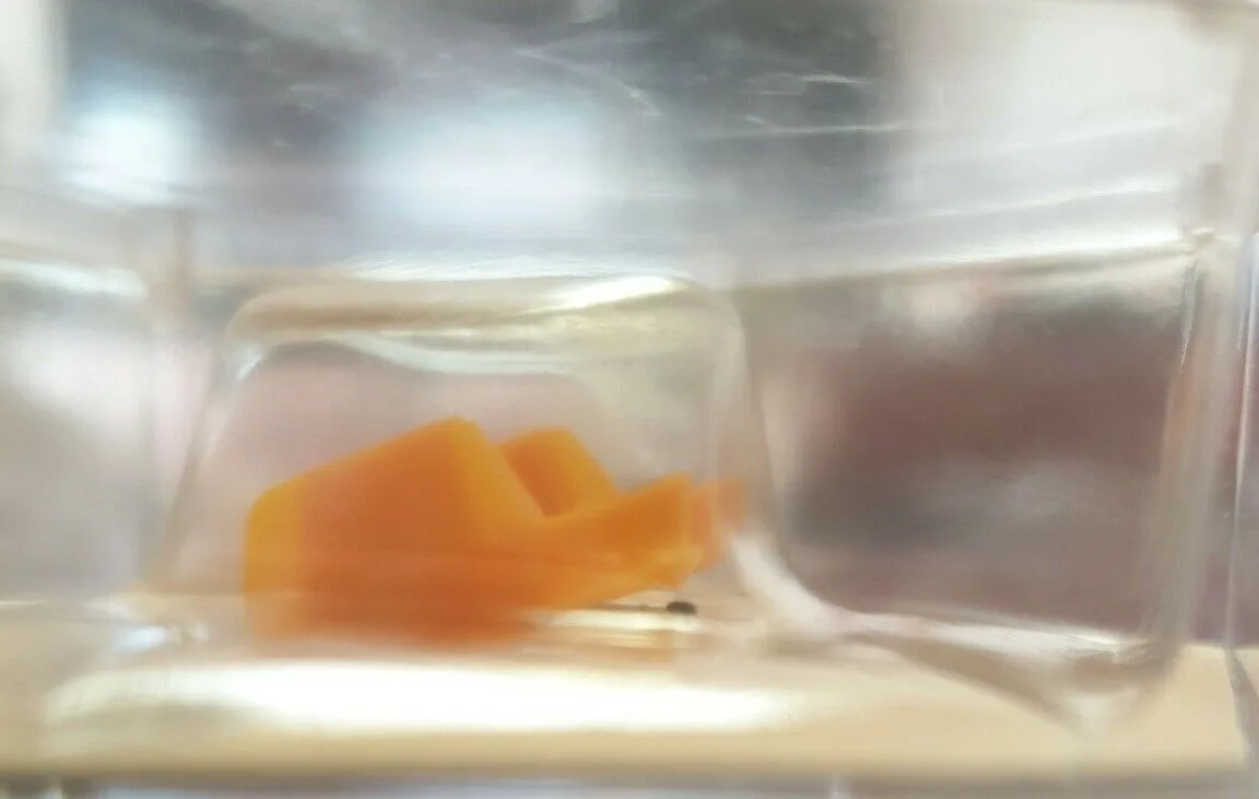 Pfeifer Diamant-Abtastnadel SGA 10082_B2 Pfeifer Diamant Abtastnadel SGA 10082 B2 jpg