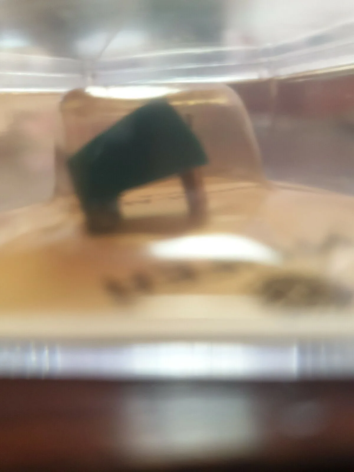 Pfeifer Diamant-Abtastnadel SGA 10891_B2 Pfeifer Diamant Abtastnadel SGA 10891 B2 jpg