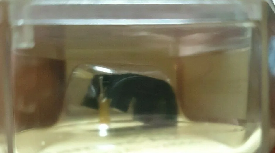 Pfeifer Diamant Nadel SGA 12866 B2 jpg