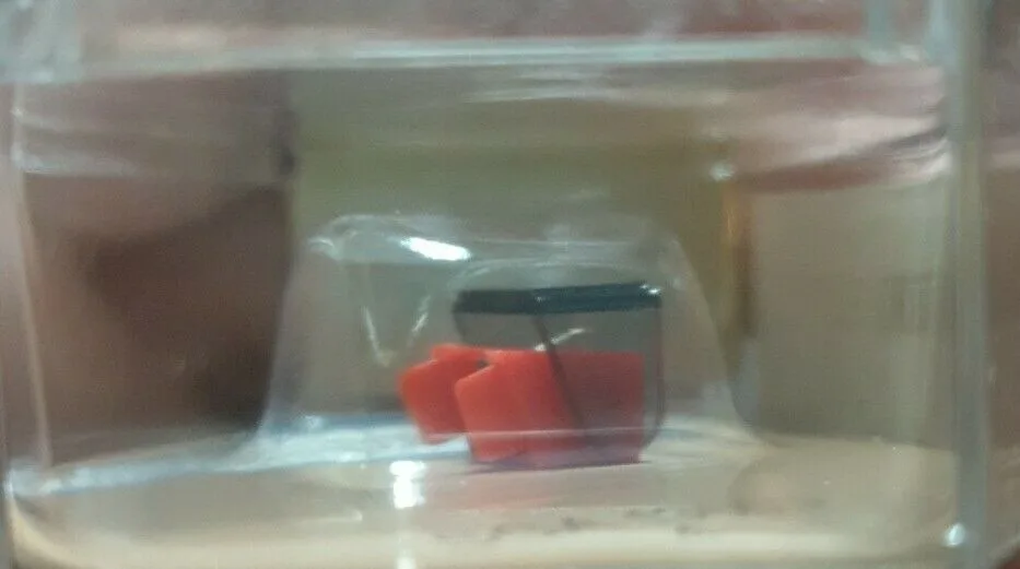 Pfeifer Diamantnadel Sga 13555_B2 Pfeifer Diamantnadel Sga 13555 B2 jpg