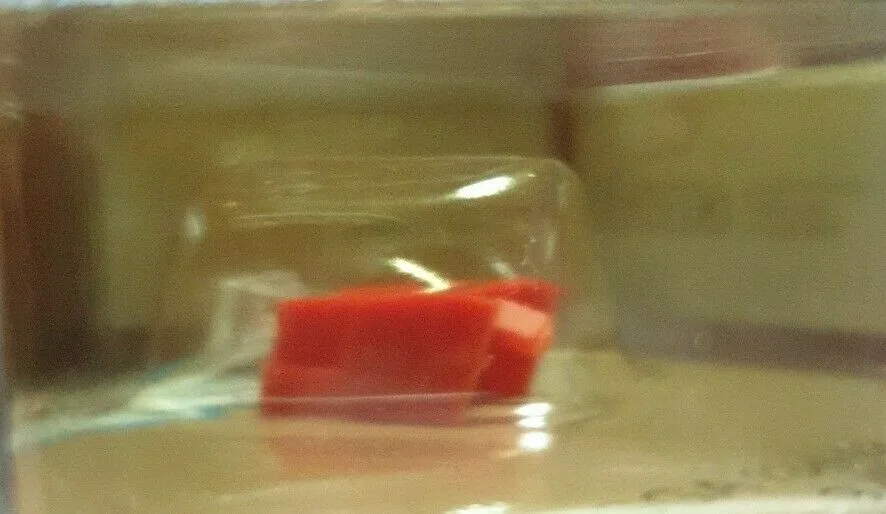 SGA 13449 9_B2 SGA 13449 9 B2 jpg