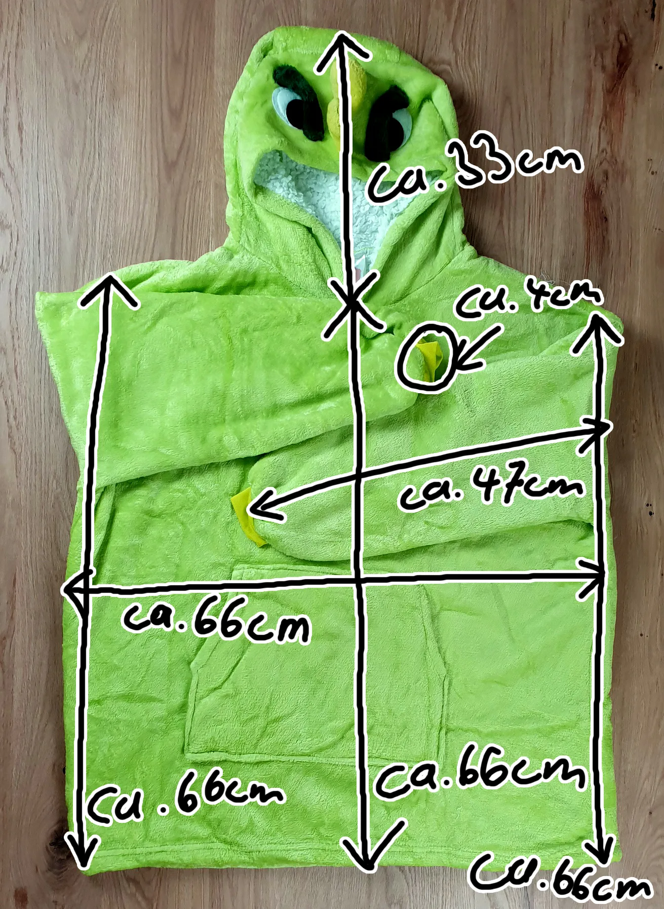 Gruener Drache vorne Masse 28 07 23 jpg