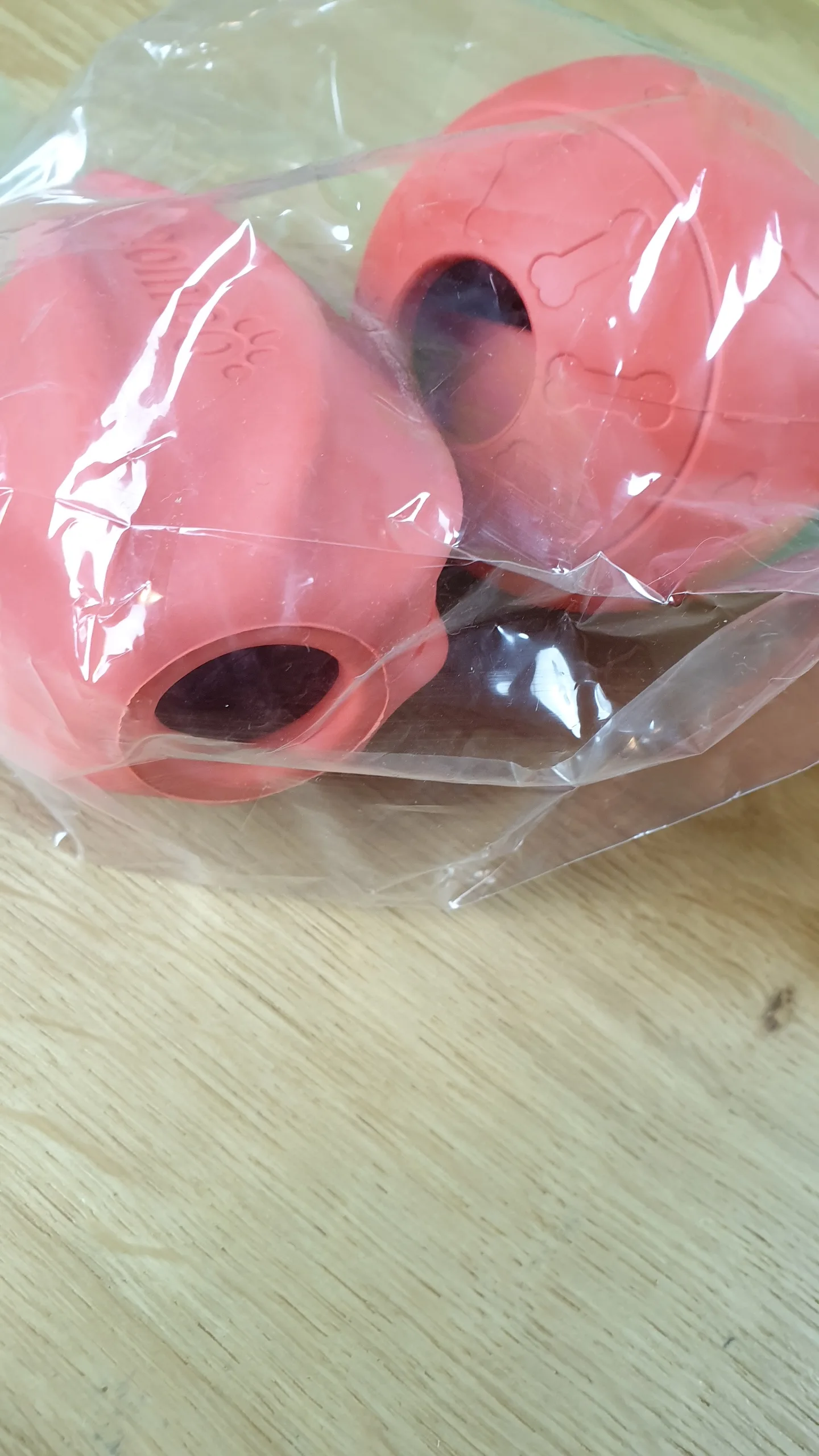 20230827_103233 20230827 103233 rotated