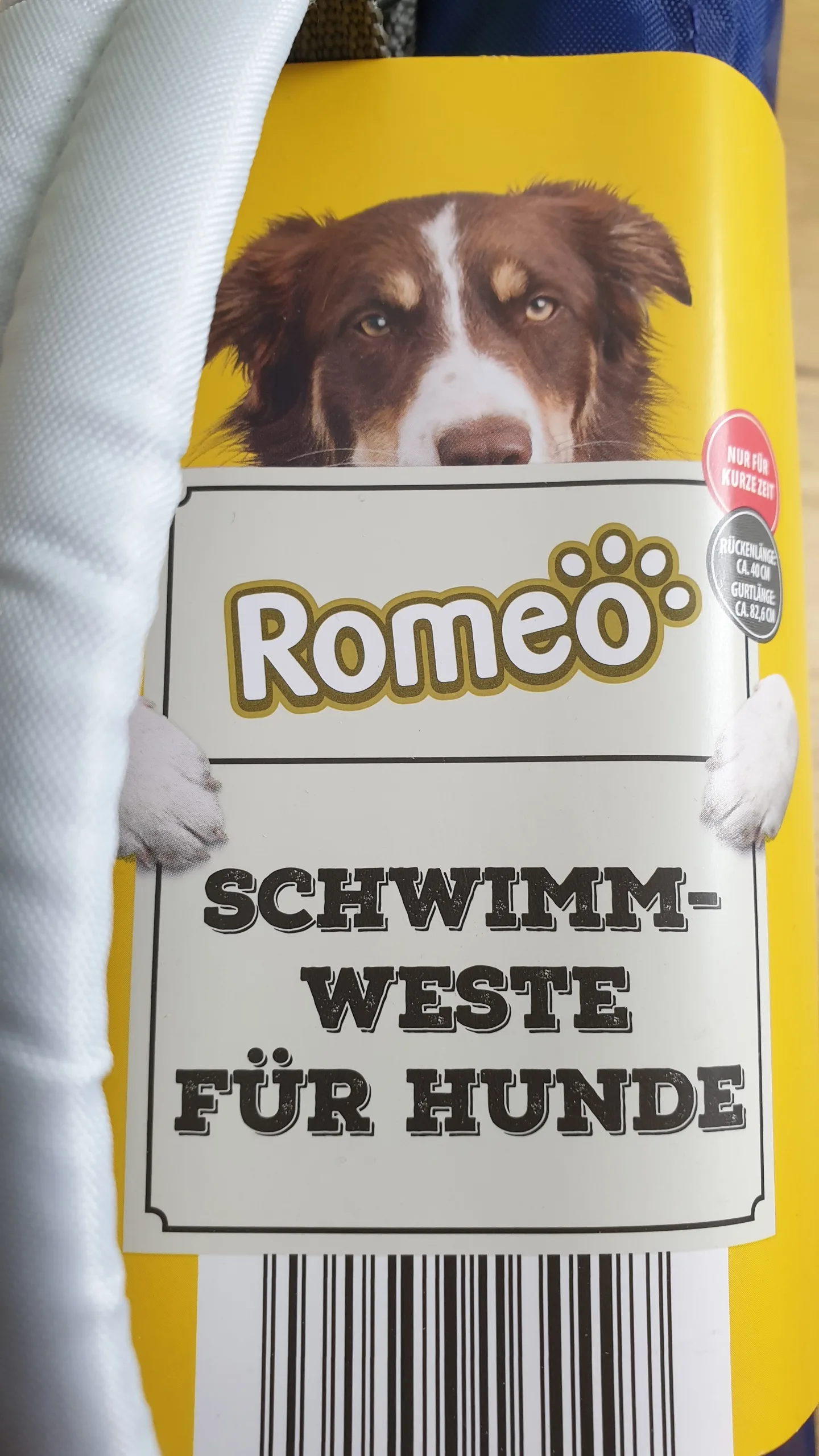 20230902_154459 20230902 154459 rotated