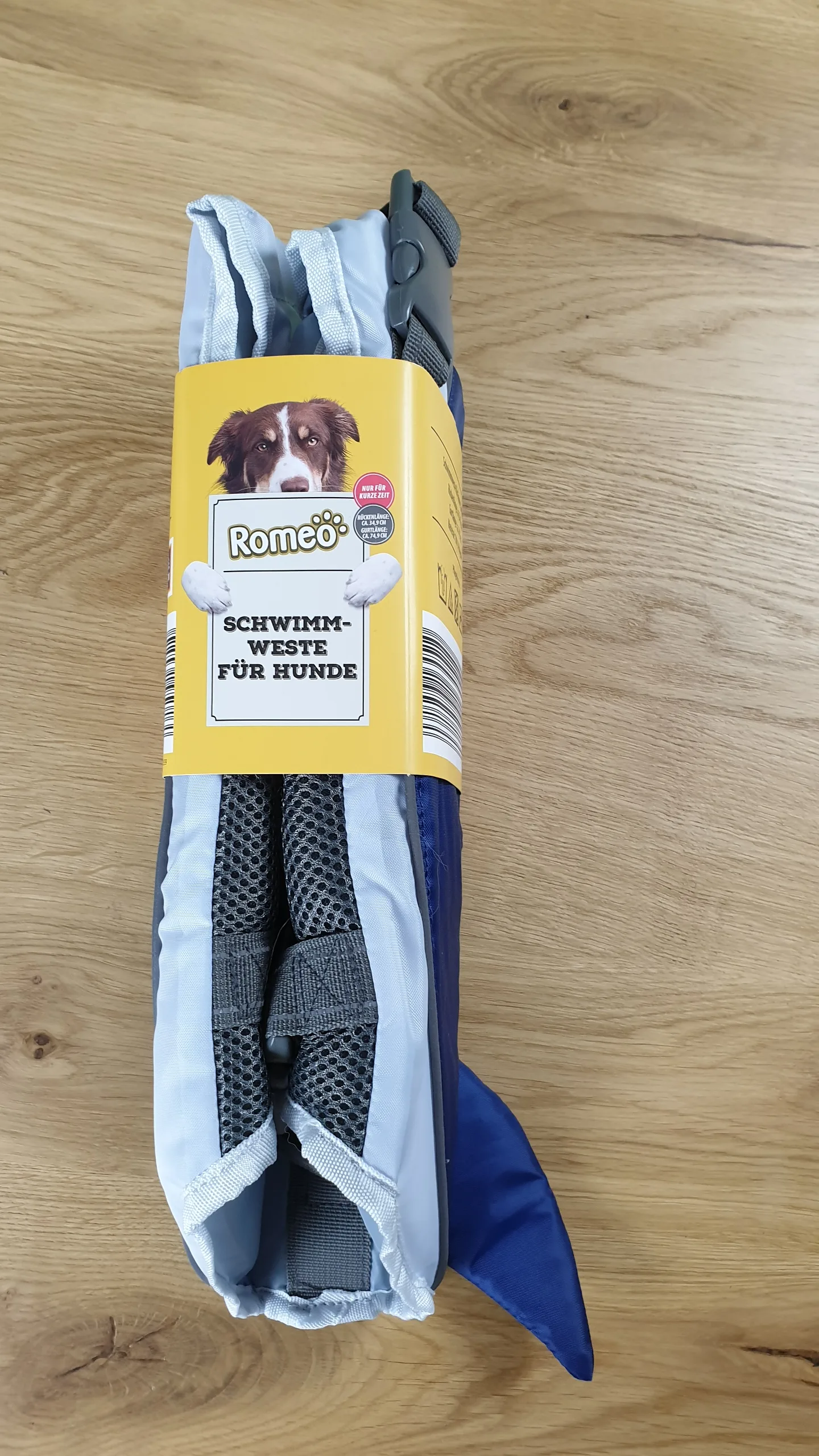 20230902_155037 20230902 155037 rotated