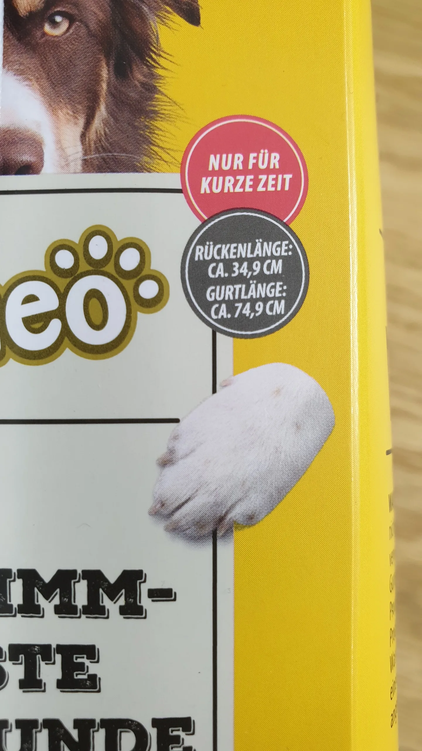 20230902_155058 20230902 155058 rotated