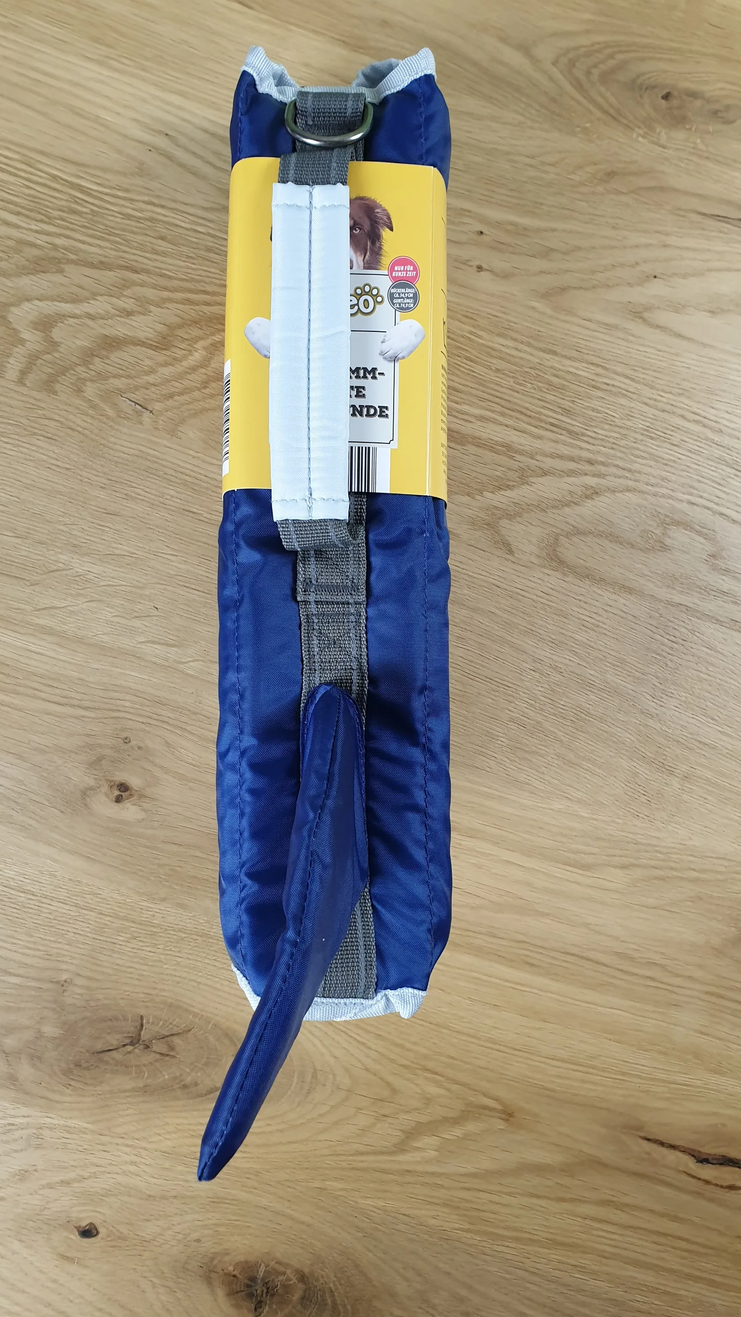 20230902_155103 20230902 155103 rotated