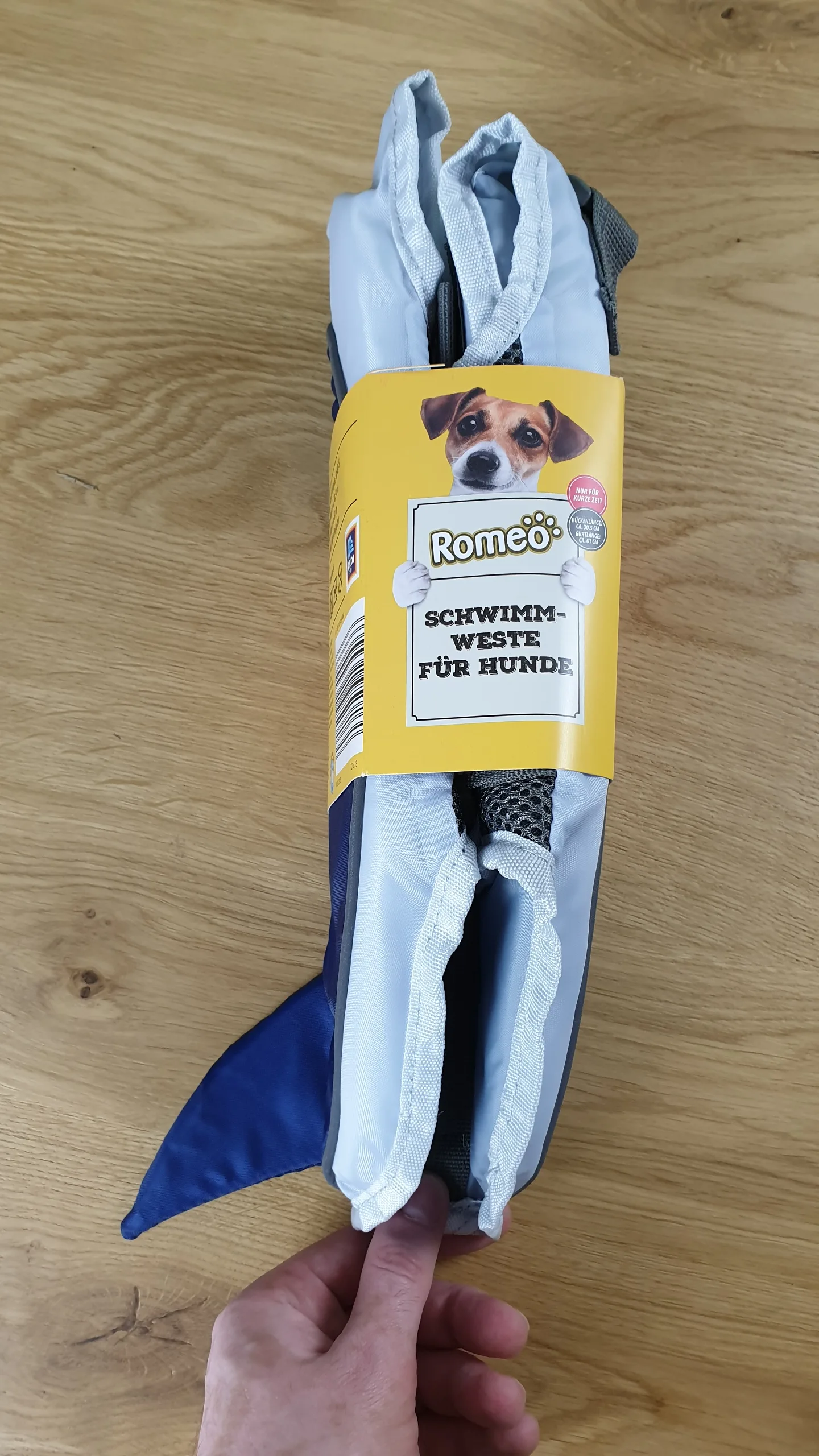 20230902_155153 20230902 155153 rotated