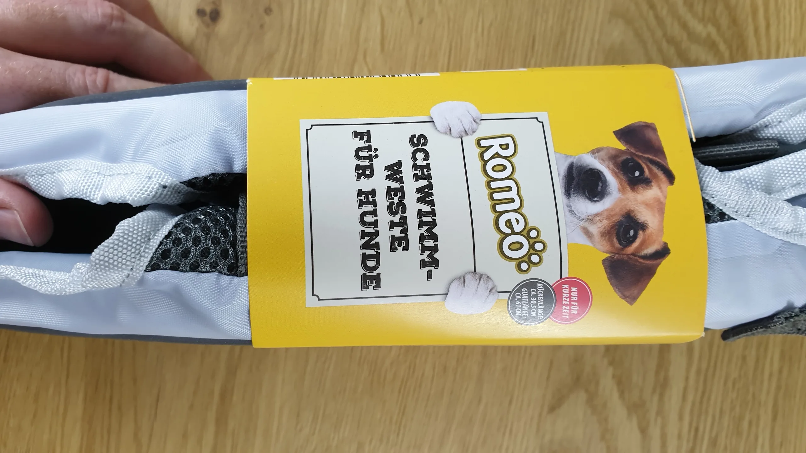 20230902_155340 20230902 155340 rotated