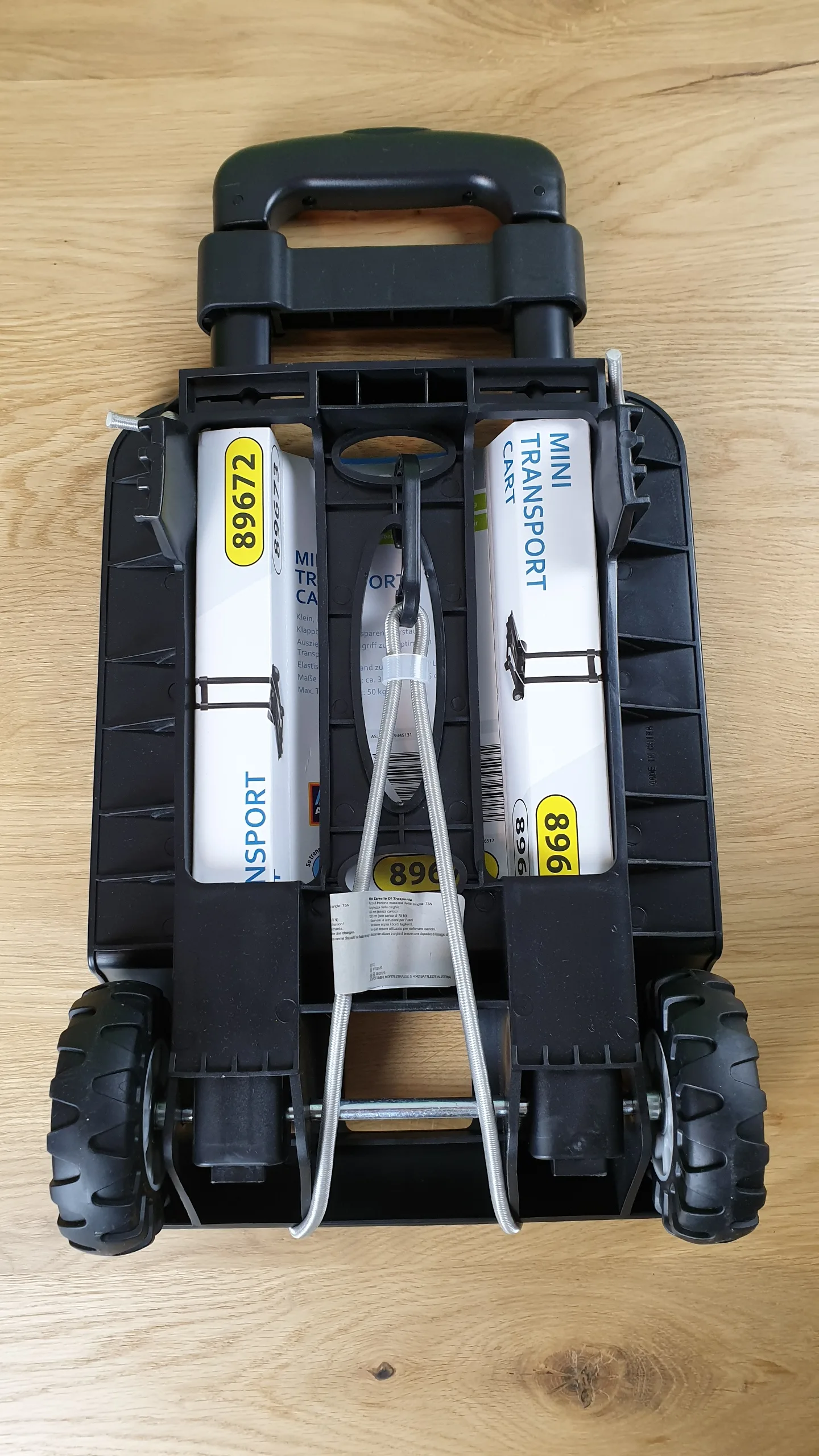 20231004_214717 20231004 214717 rotated