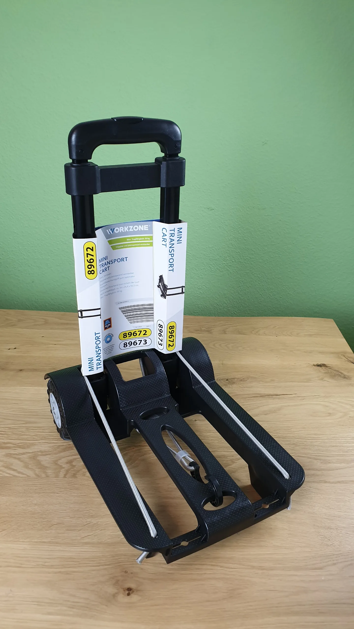 20231004_214852 20231004 214852 rotated