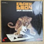 Vorderseite der Vinyl-Schallplatte Black Lion Jam Session Doppel-LP