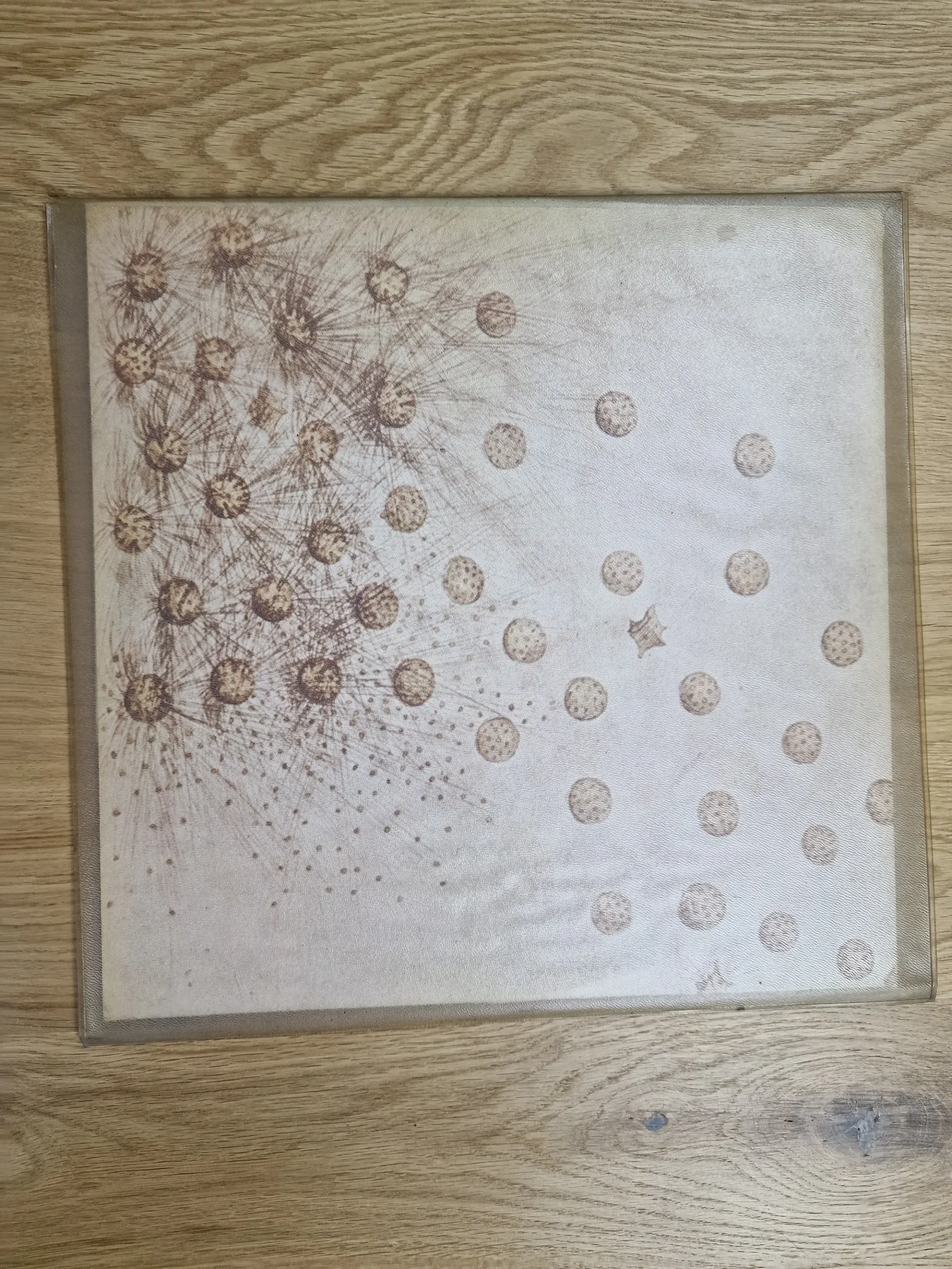 Rückseite des Albumcovers der Vinyl LP Family - Anyway... mit abstractem Punktdesign