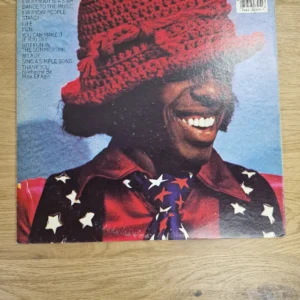 Sly & The Family Stone – Greatest Hits (Vinyl LP)