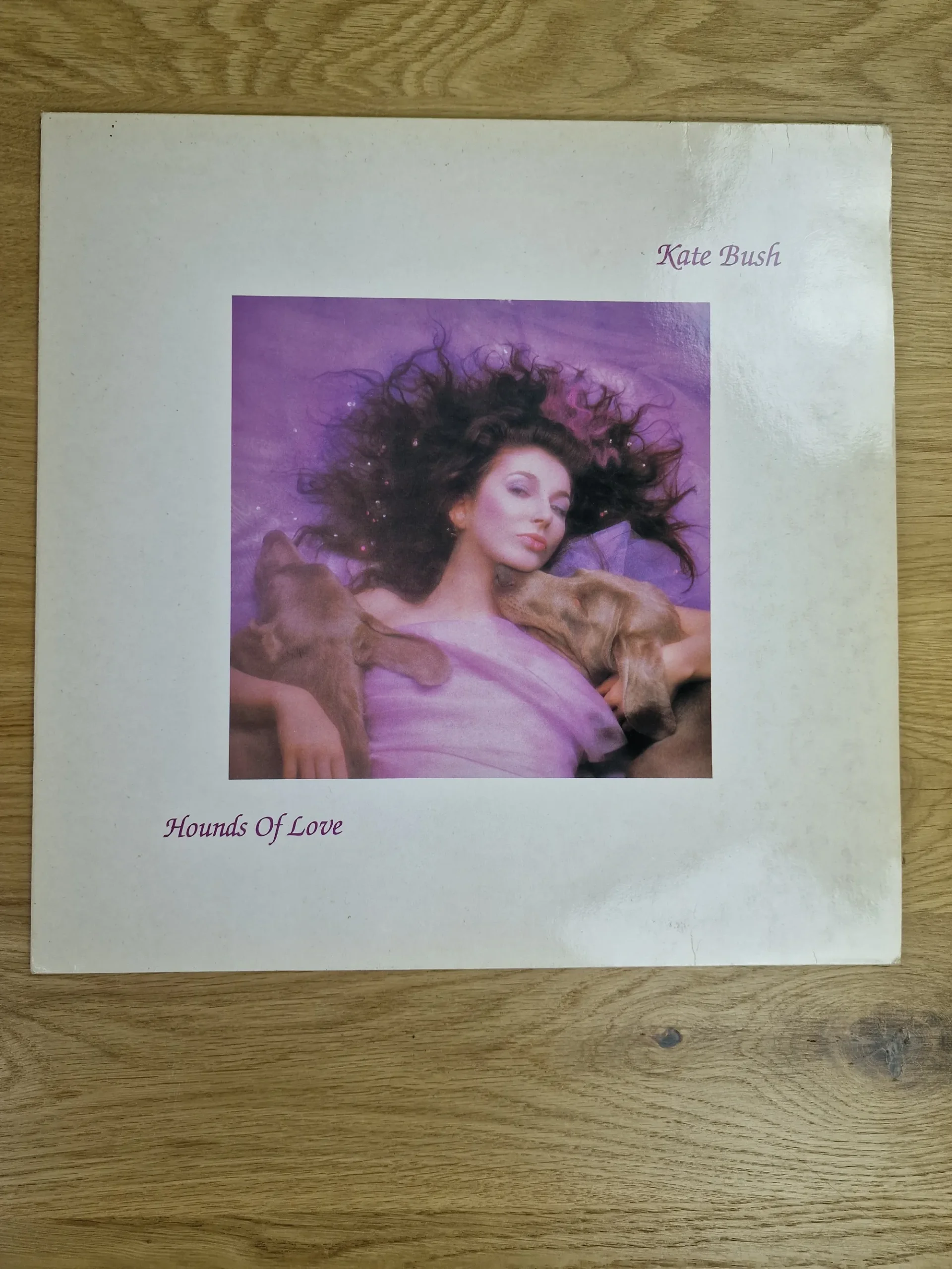Vorderseite der Schallplattenhülle Kate Bush Hounds Of Love Album mit Foto von Kate Bush und zwei Hunden