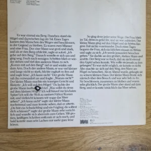 Wolfgang Ambros – Wie im Schlaf (Lieder von Bob Dylan) Vinyl LP (1978)