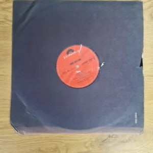 Arik Brauer – Vinyl LP Schallplatte (Polydor Original)