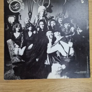 Frank Zander – Wahnsinn Vinyl LP (1975) – Vintage Schallplatte