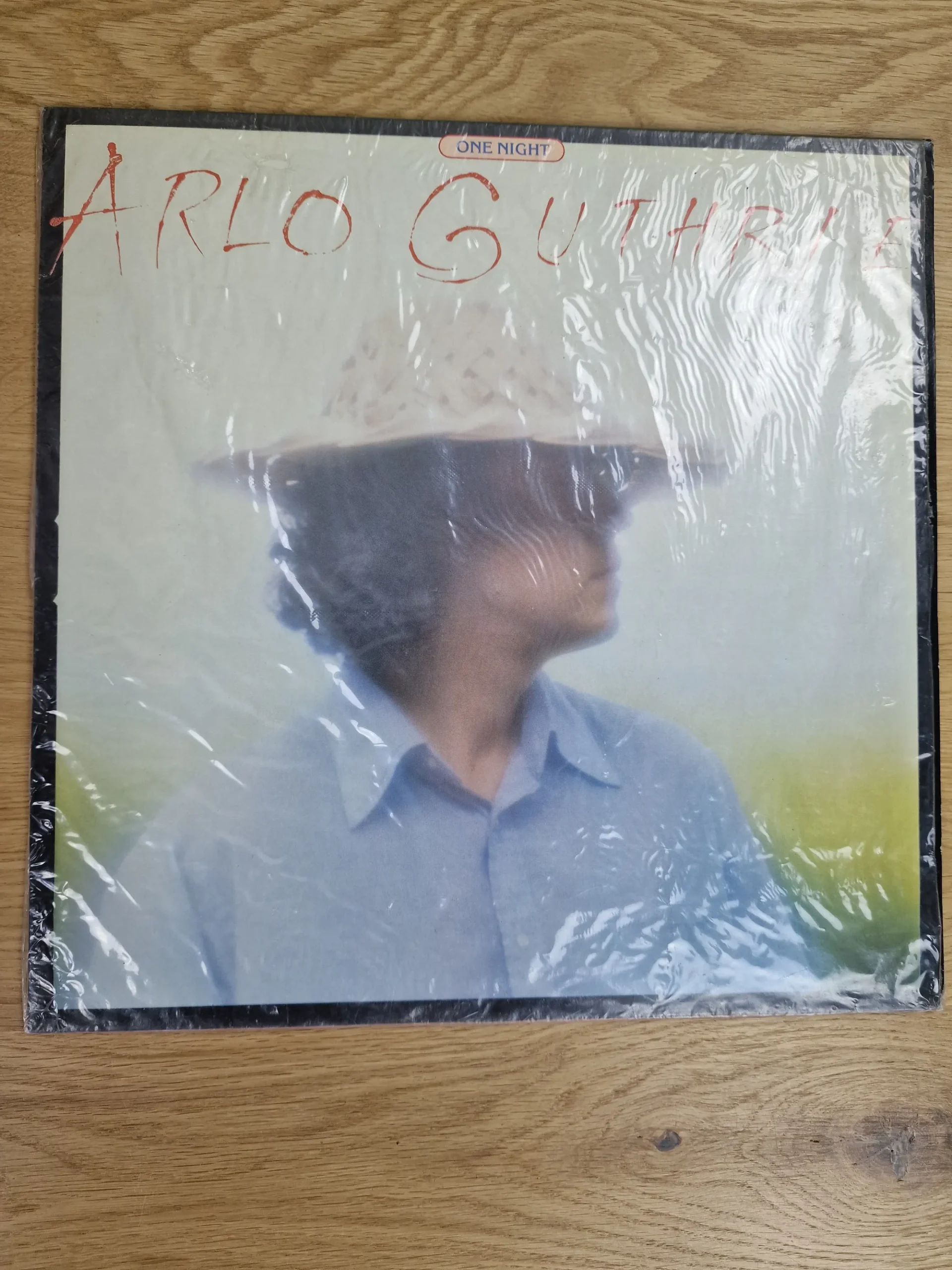 Vorderseite der Vinyl-Schallplatte One Night von Arlo Guthrie in Schutzhülle